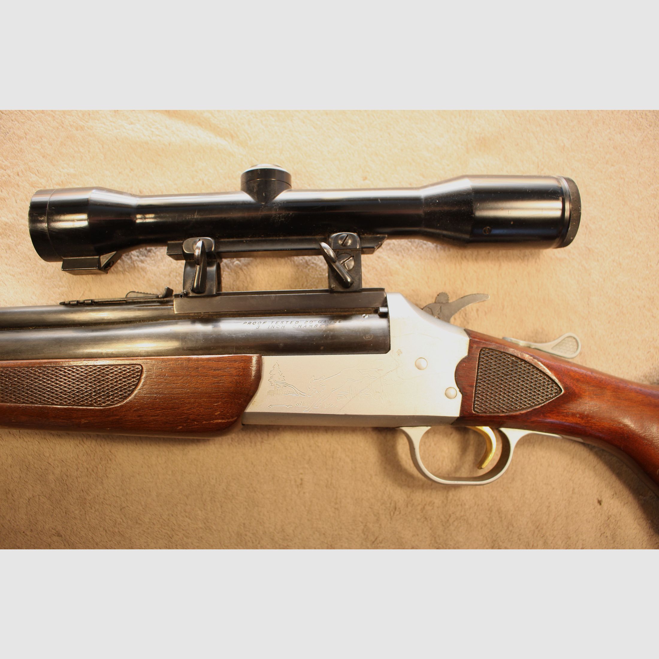 Sachonzeit BBF de Savage.