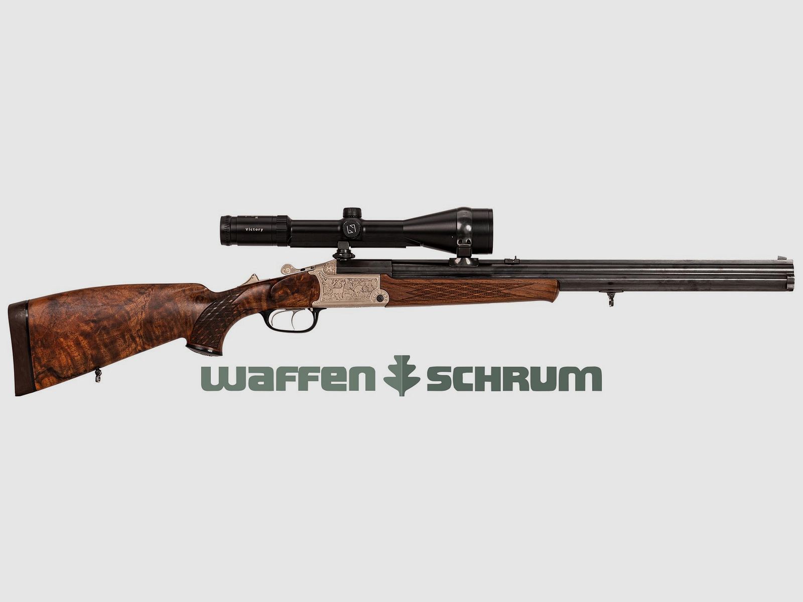 Blaser BD 880 Luxus , ZF Zeiss Varipoint M 3-12x56 T* Abs. 60, Schwenkmontage 9,3x74R-.22Hornet-16/70