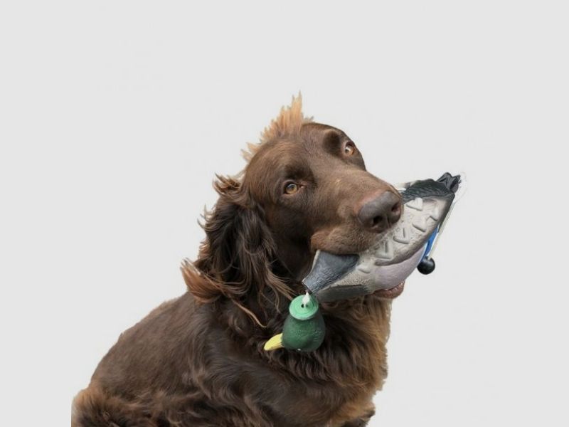 Entendummy flotante – Pato EVA con asa de lanzamiento