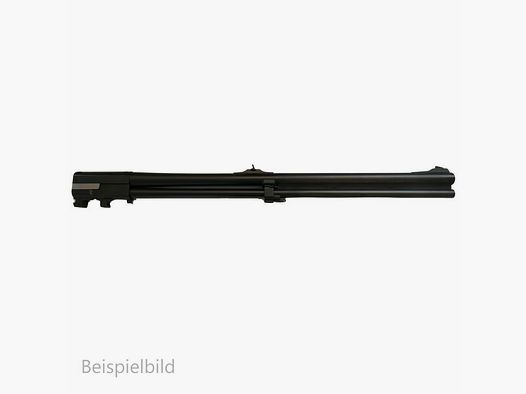 Blaser WL B95