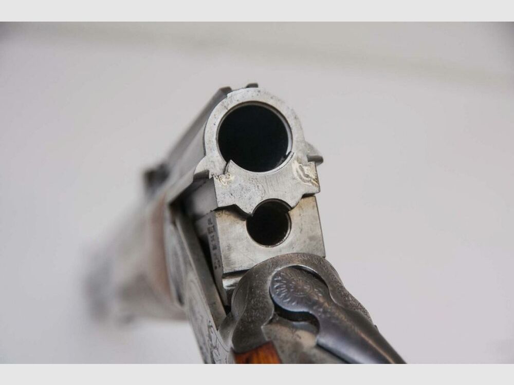 Sabatti Schwenkmontage