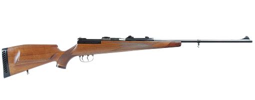 Mauser 66