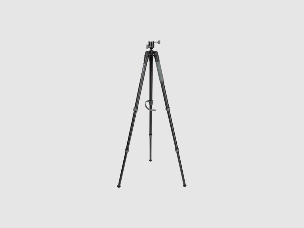 Infinite Arca Swiss Bog Dreibein, Bild 1 von 3