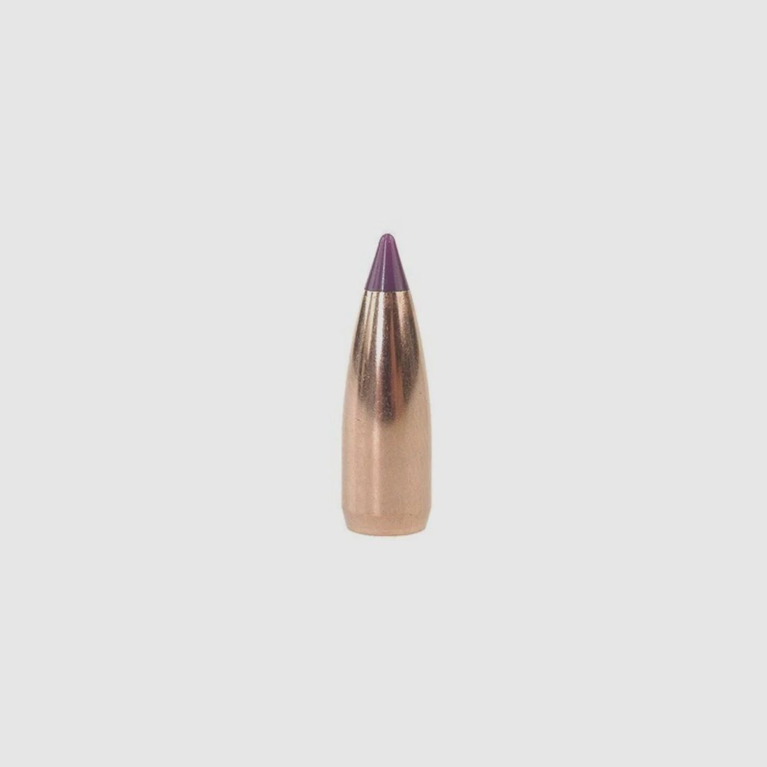 Proiettile Nosler Ballistic Tip Varmint 6mm/.243 55GR Spitzer 100 pezzi