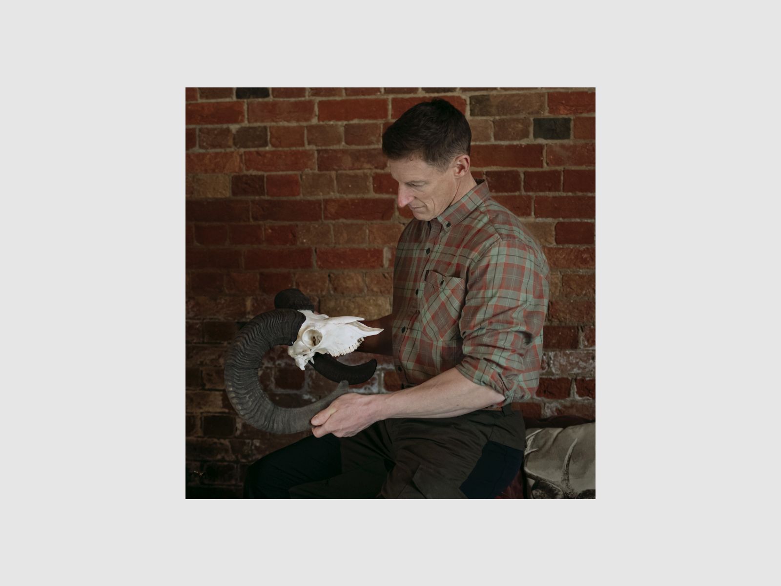 SHOOTERKING Forest Mist Hemd