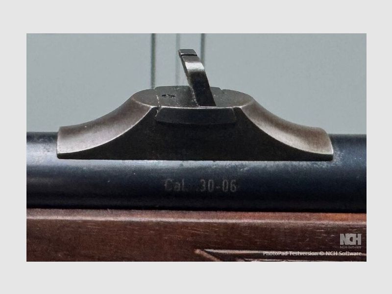 Mauser M96 .30-06Spring
