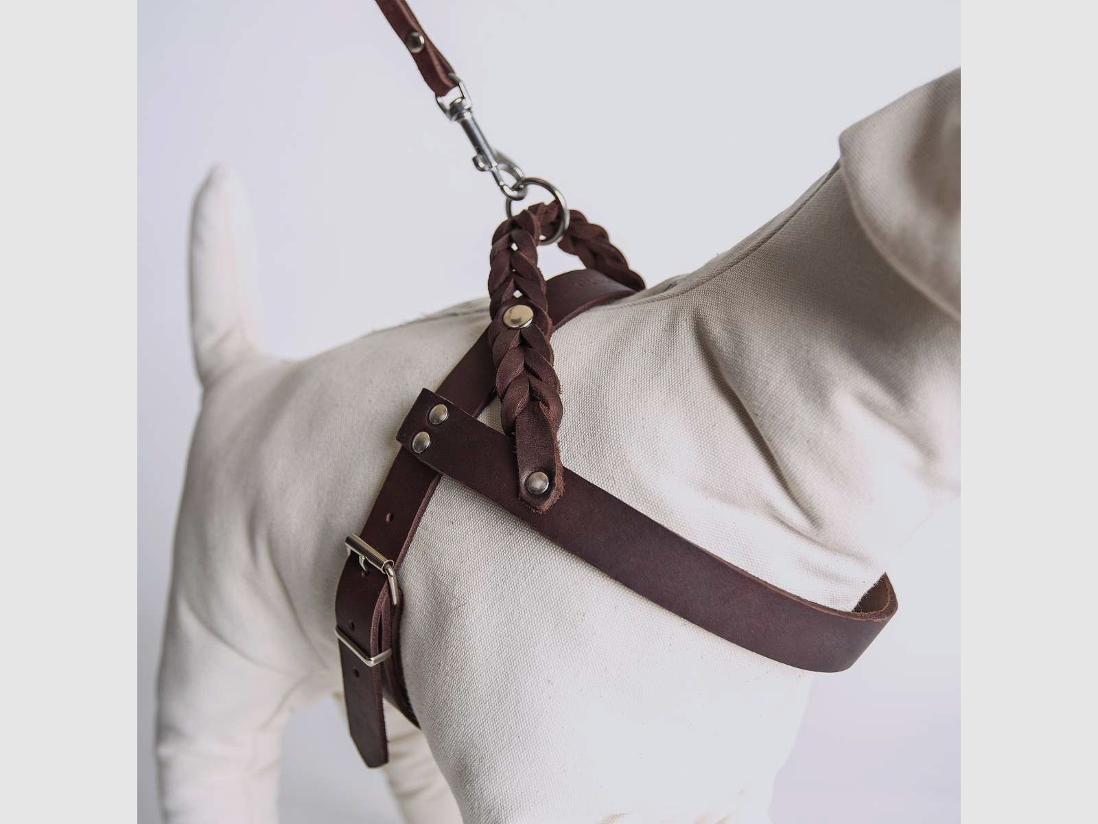 Geschirr CP saddle brown, Bild 1 von 3