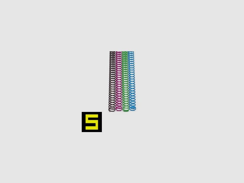 Eemann Tech CZ Verschlussfeder Set