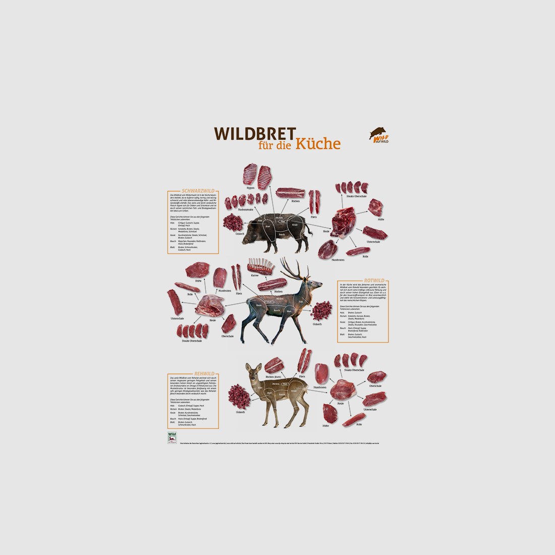 Game meat poster high and roe deer PVC
