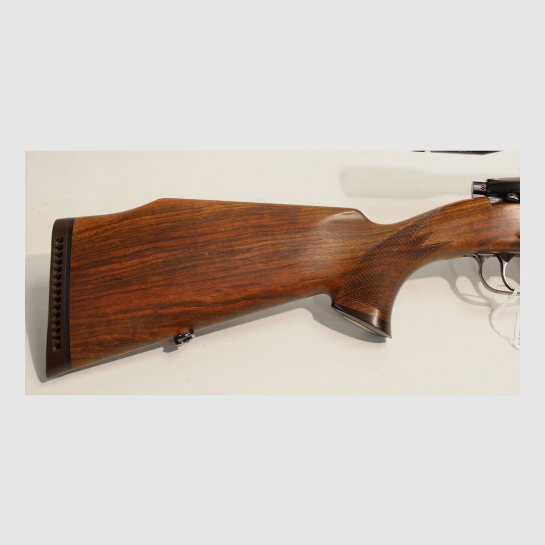 Heym SR20 Stutzen con Zeiss 8x56 T*