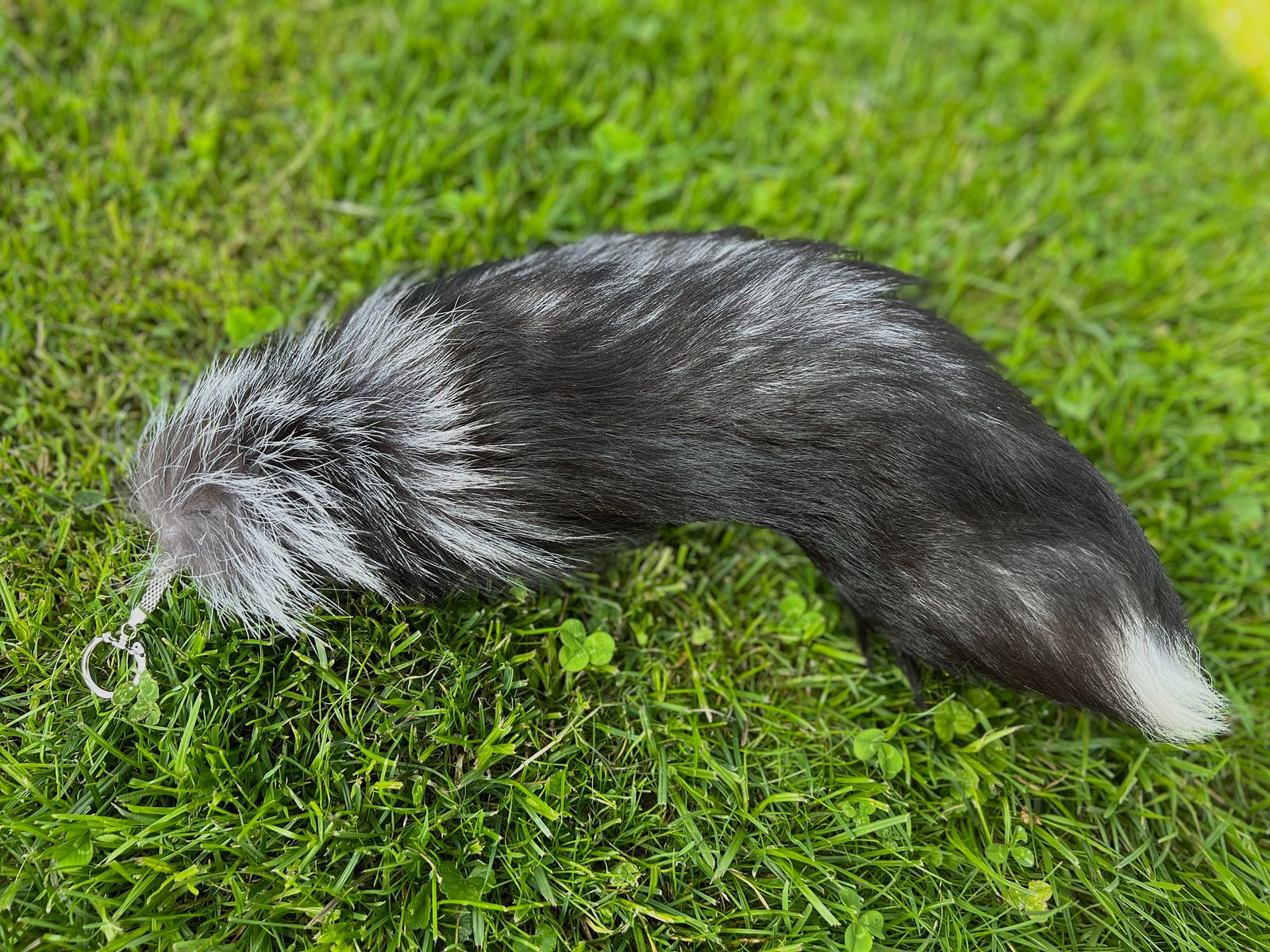 Real silver fox tail with keychain