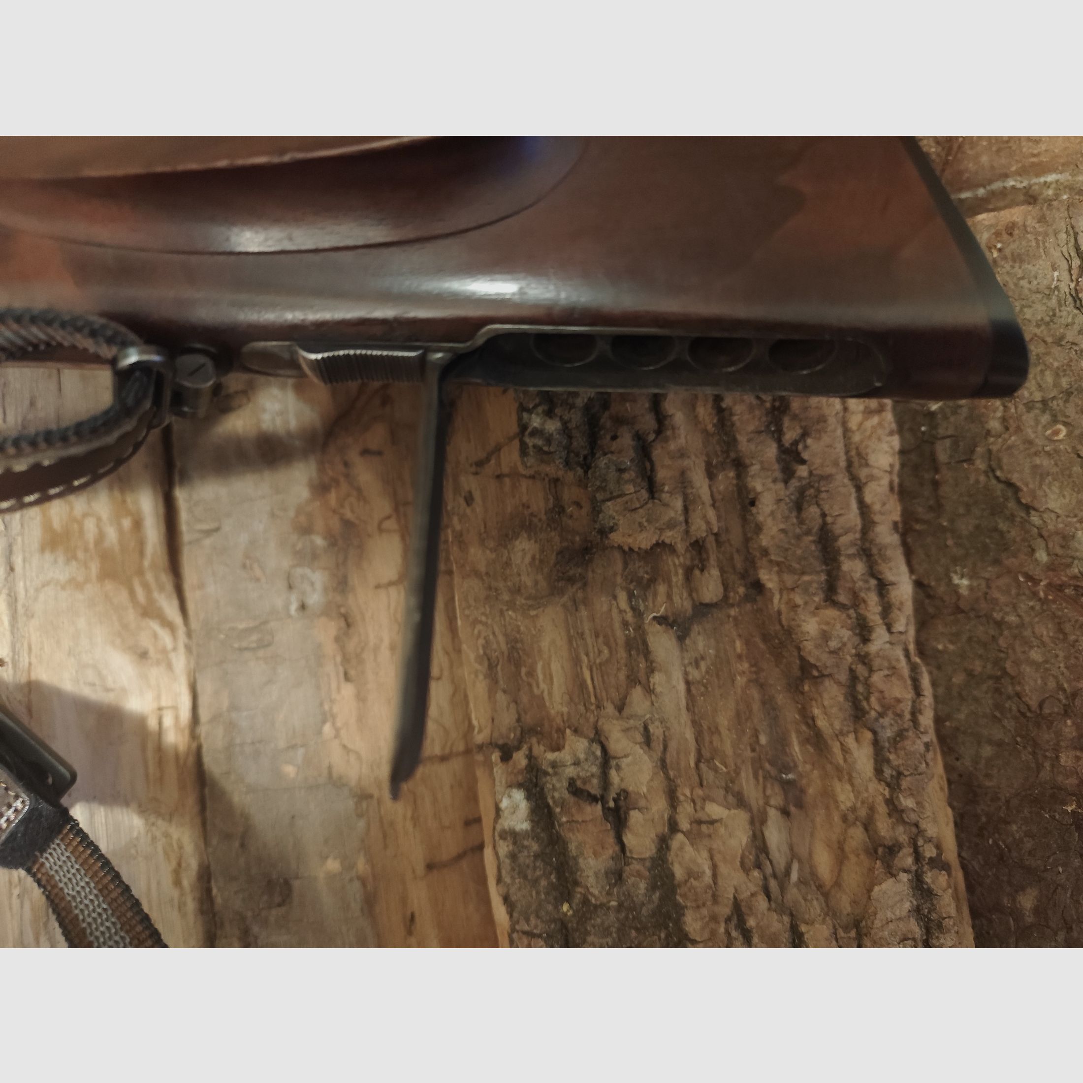 Sauer u. Sohn Bohrung mit Einstecklauf