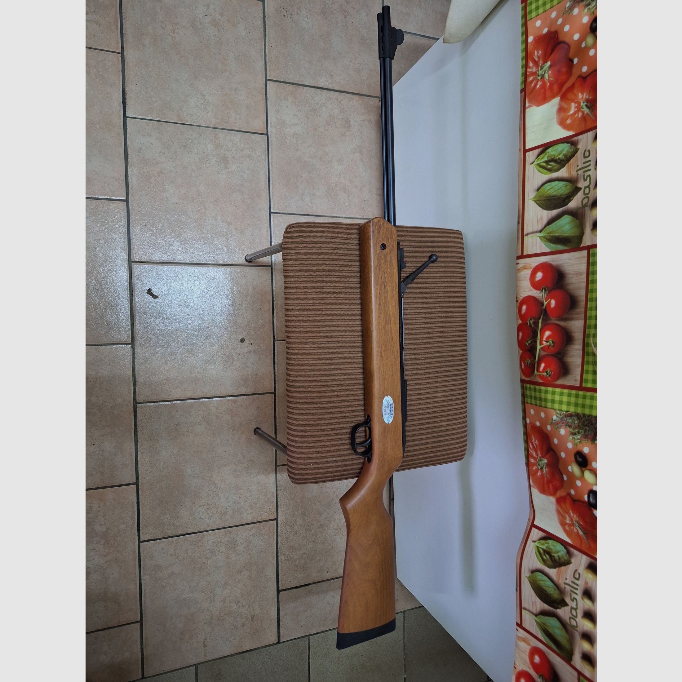 Fusil à air comprimé Diana Oktoberfest