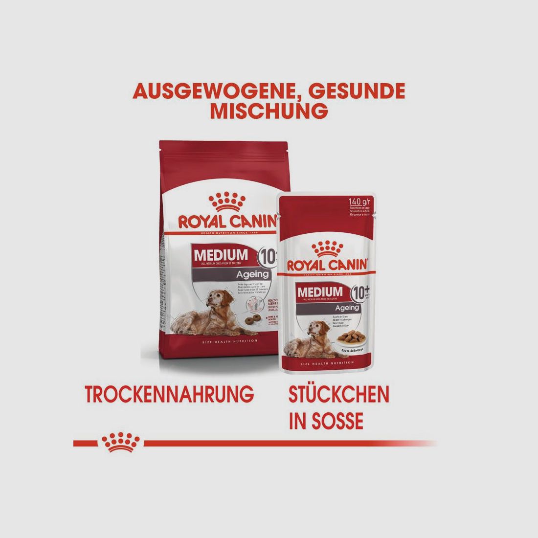 ROYAL CANIN Ältere Mittelgroße Hunde Nassfutter Medium Ageing 10+ 10x140 g