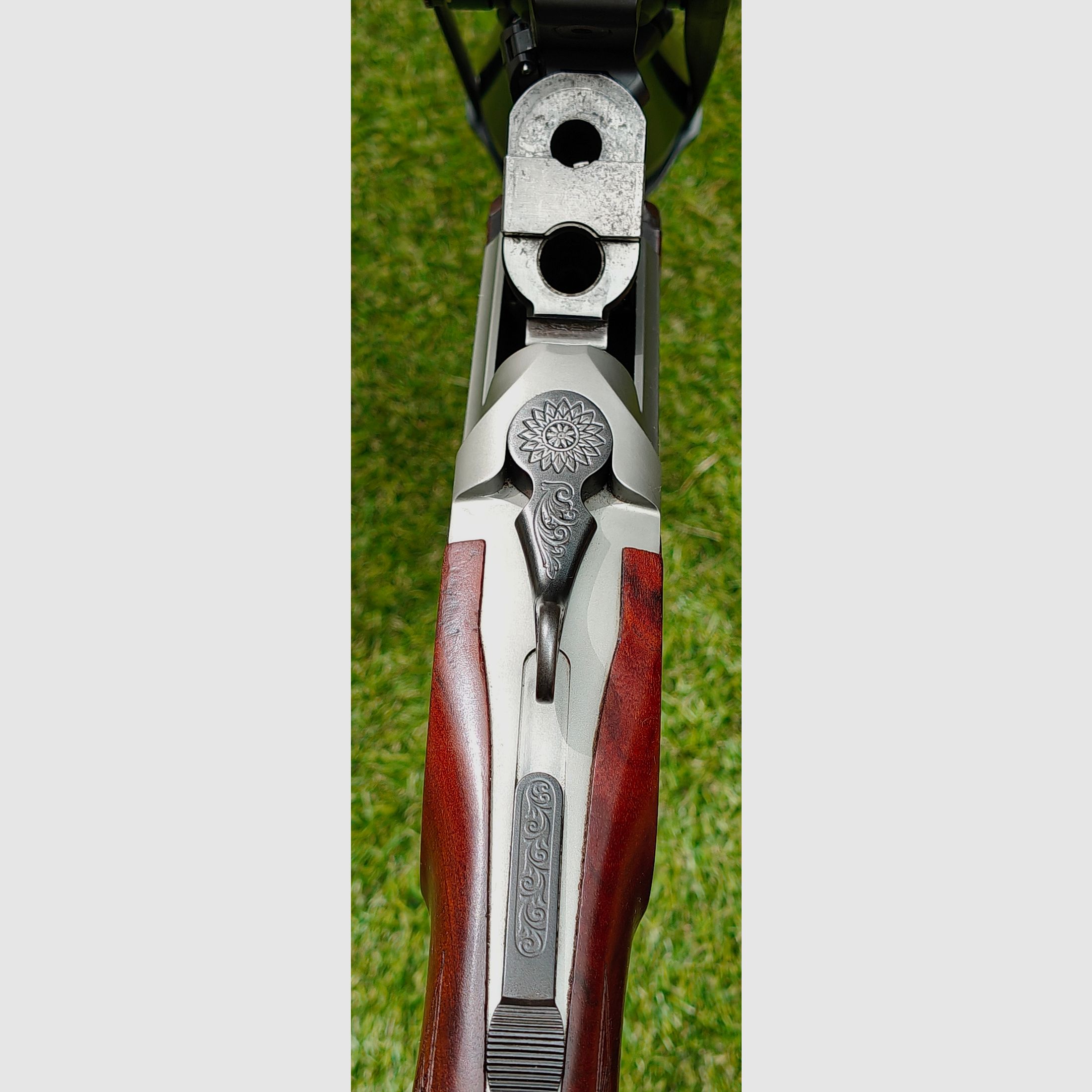 Blaser BS 95 6,5x57 & .222rem