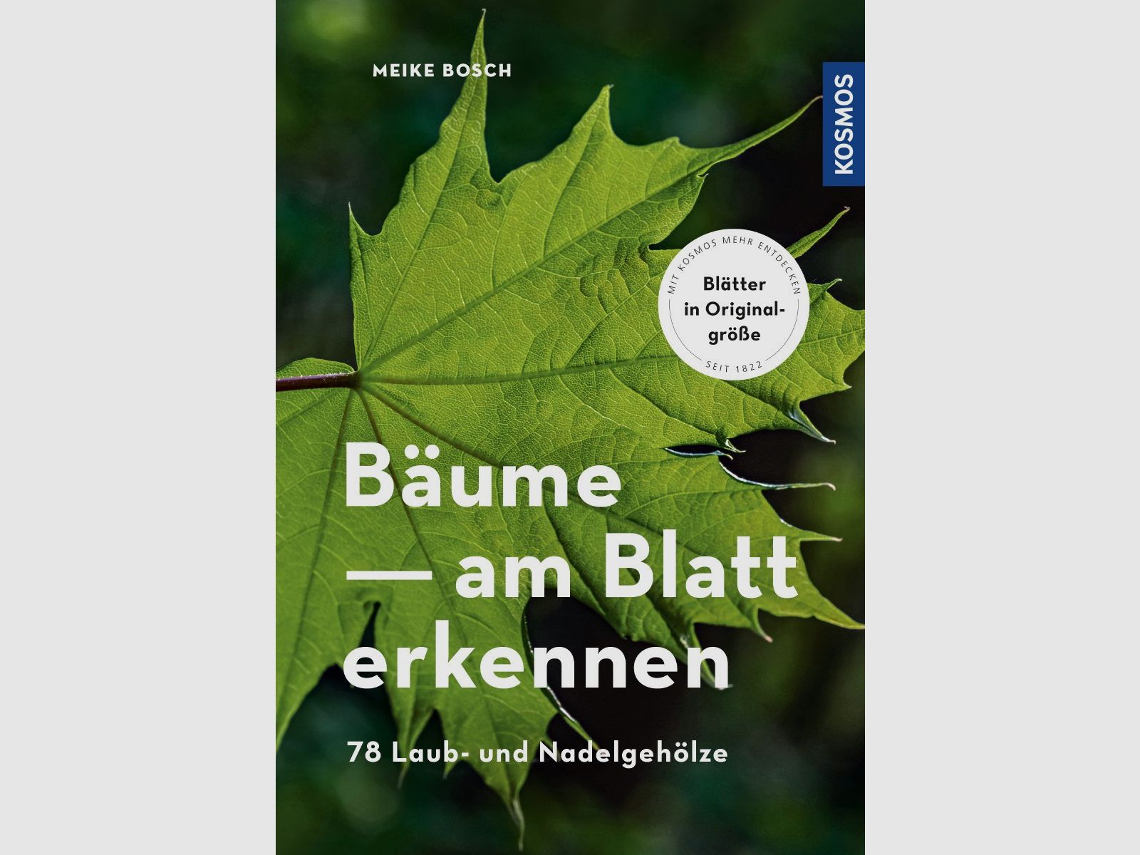 Kosmos Bäume am Blatt erkennen Meike Bosch
