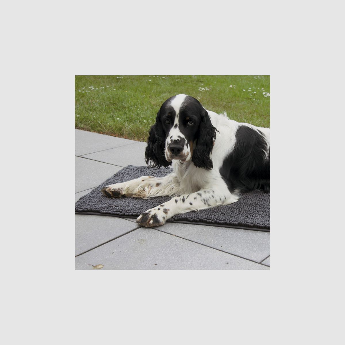 WAIDWERK - Hundematte