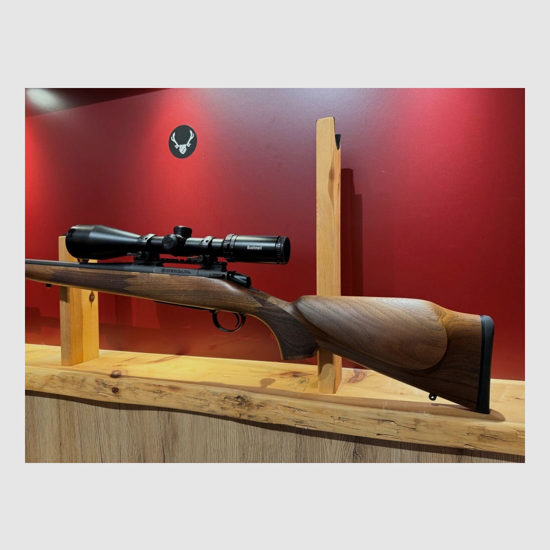 Bergara B14
