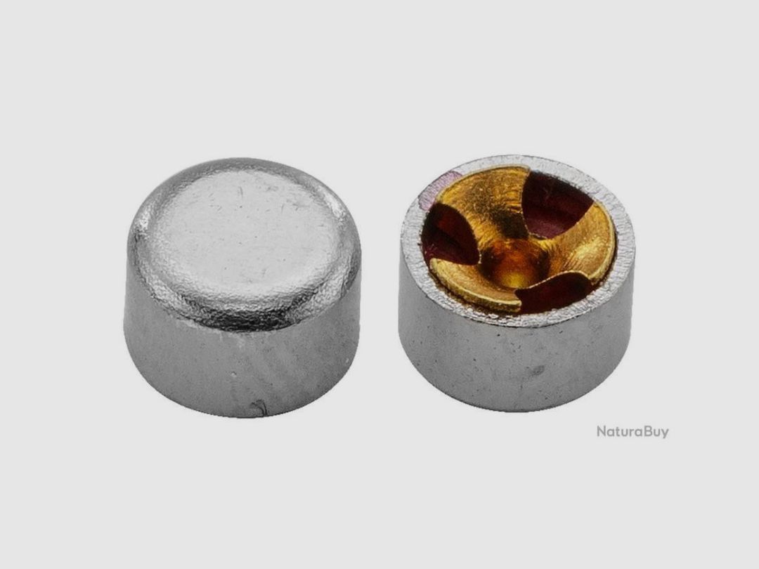 100 ZÜNDHÜTCHEN RWS GROSSPISTOLE 5337, Bild 2 von 2