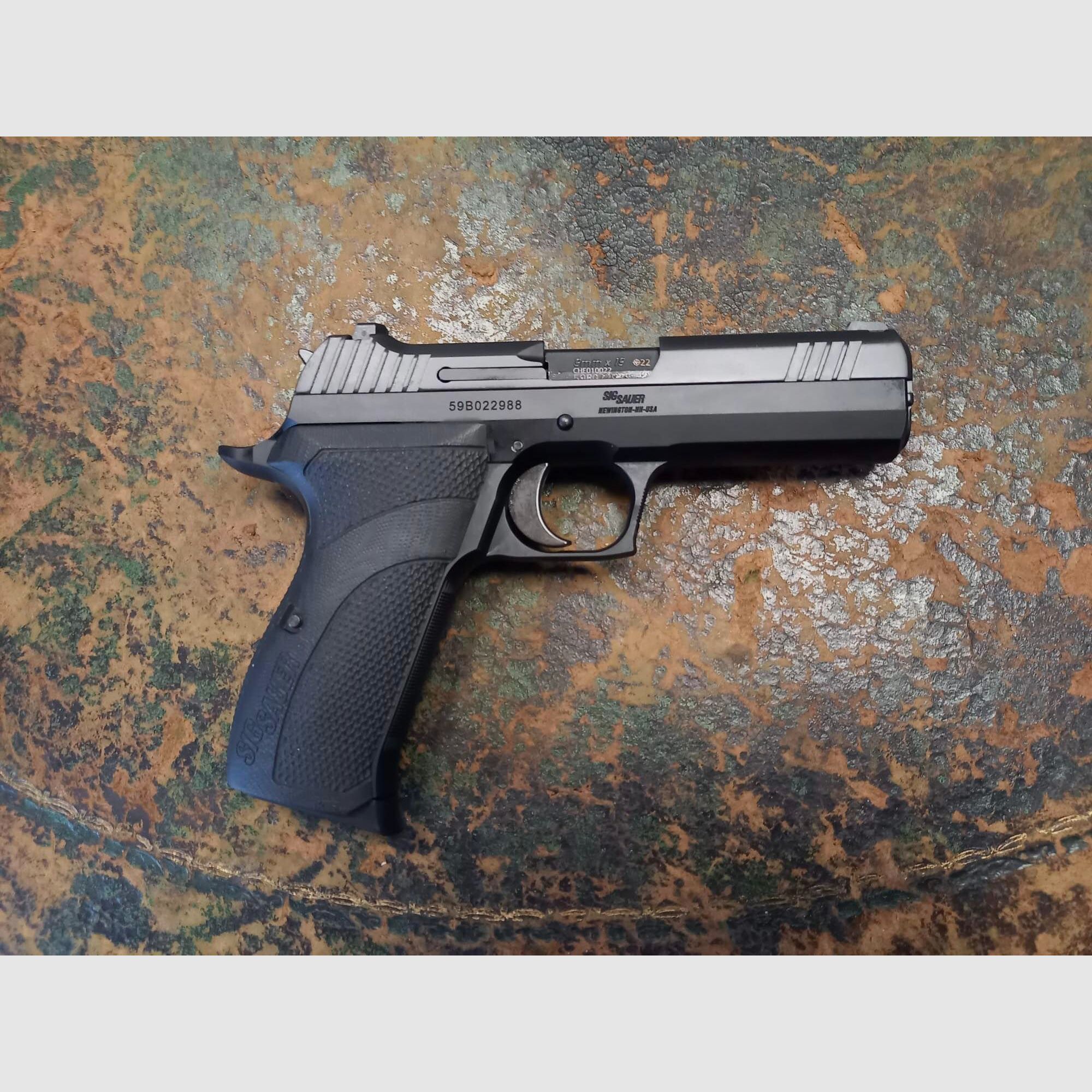 P210 Carry, Bild 2 von 2