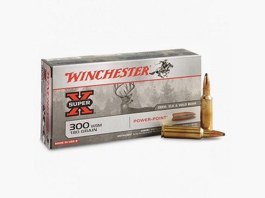 Winchester 300WSM Power Point