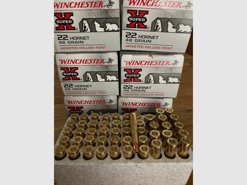 22 Hornet Winchester 265 Schuss
