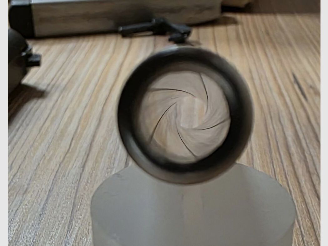 Smith & Wesson Target Champion