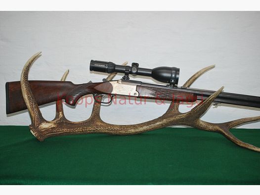 Blaser