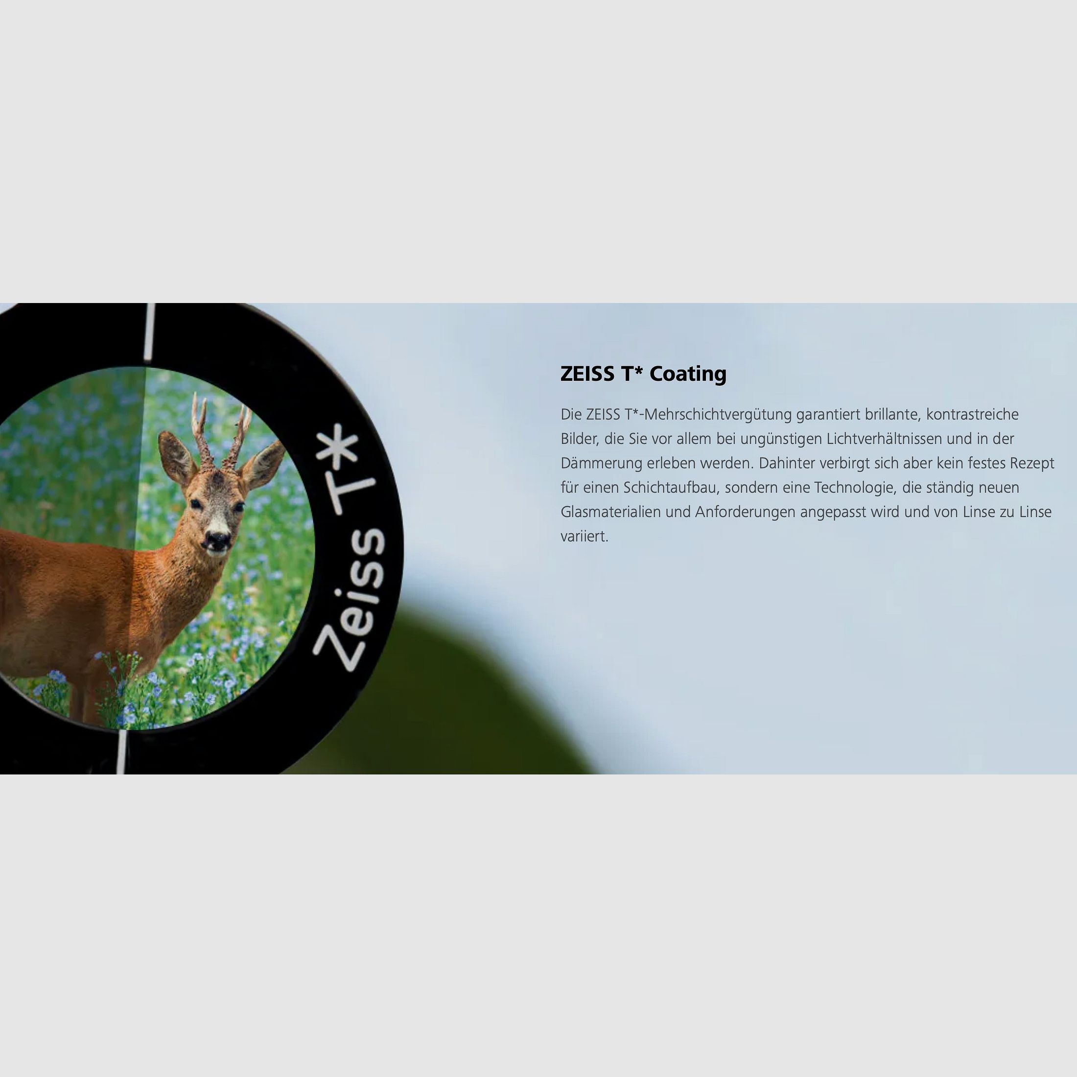 Aussteller ZEISS Conquest V6 2-12x50 M ill. Absehen 60 mit Zeiss Schiene Zielfernrohr LP