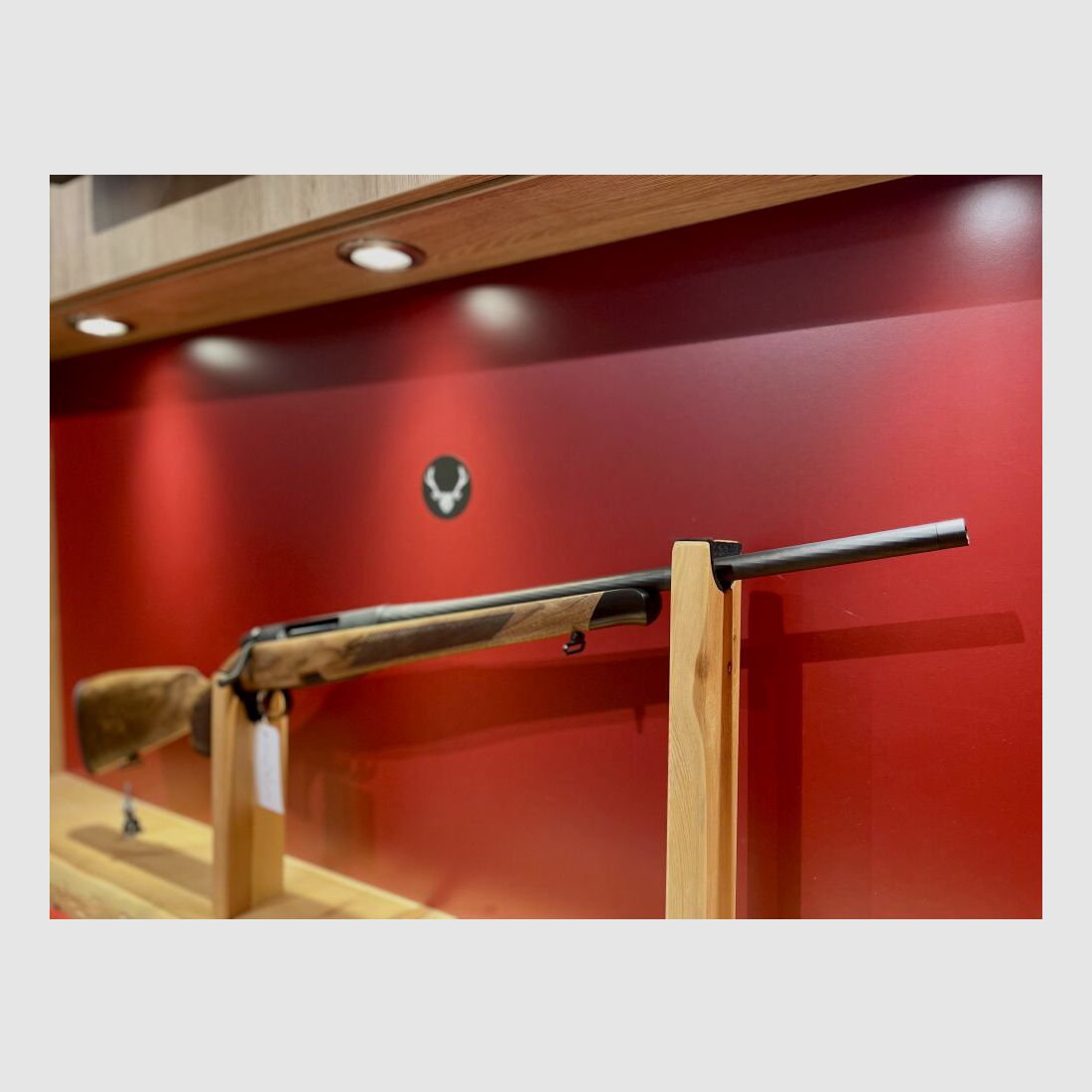 Steyr Arms CLII Goiserer Sonderholzklasse