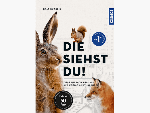 Livre "Guide de la nature : Les animaux que vous voyez - Les animaux autour de vous"