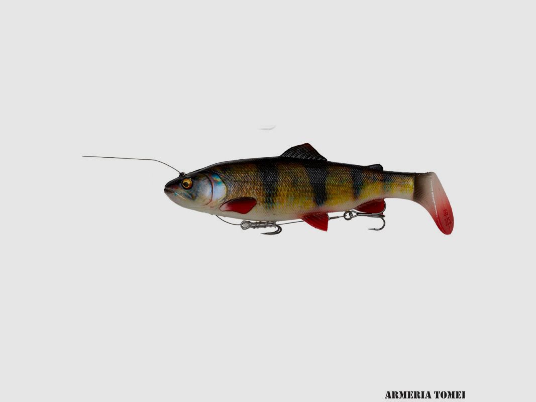 SAVAGE GEAR – 4D LINE-THRU RATTLE TROUT 27.5 cm 258 g SINKING PERCH