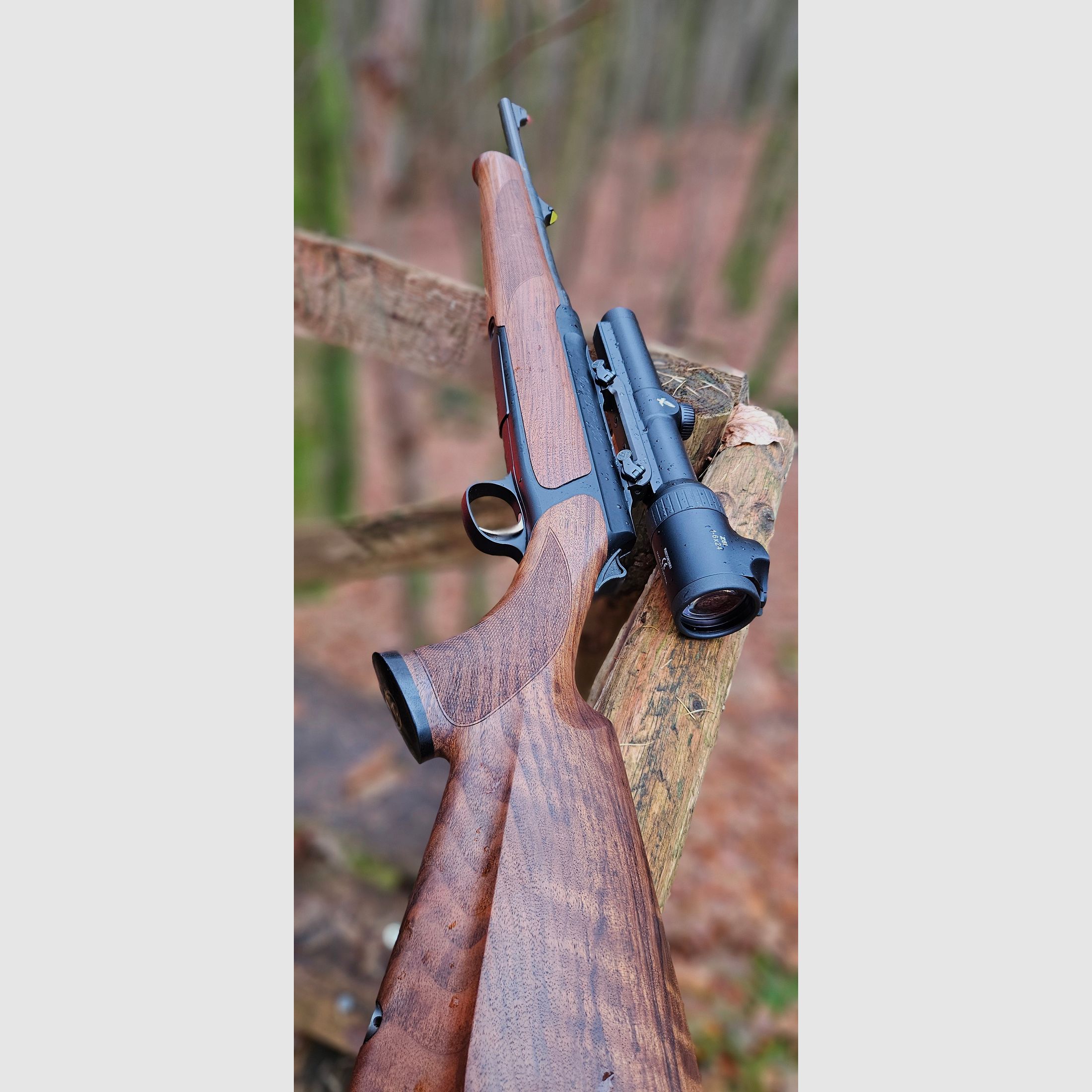Sauer 303 Classic .30-06 mit Swarovski Z6i 1-6x24 SR & Sauer-Montage