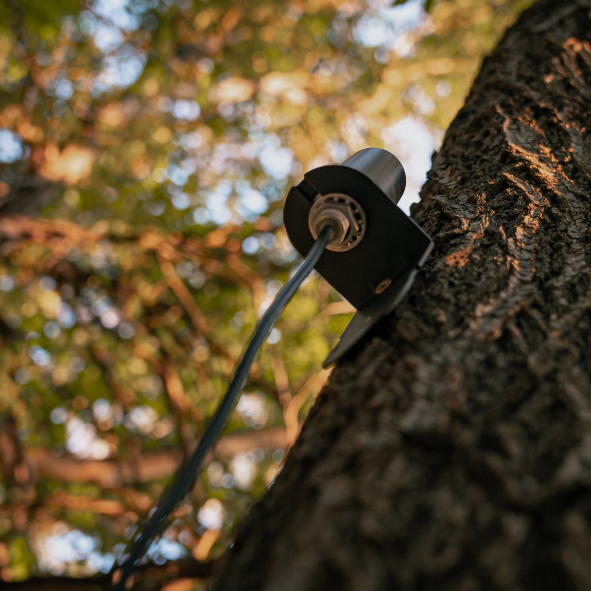 SPYPOINT Langstrecken-Mobilfunkantenne CA-01