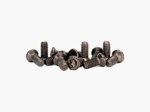 Tornillos Spuhr para la parte superior del anillo M4x10 TX20 - 15 piezas