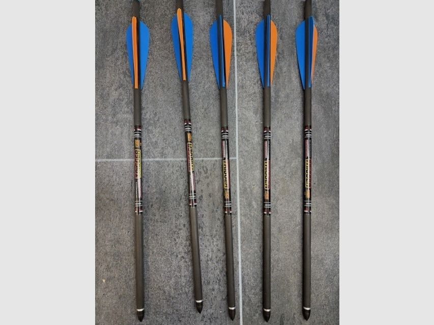 Sanlida Chace Wind 150 Lbs arc recurve, image 6 sur 6