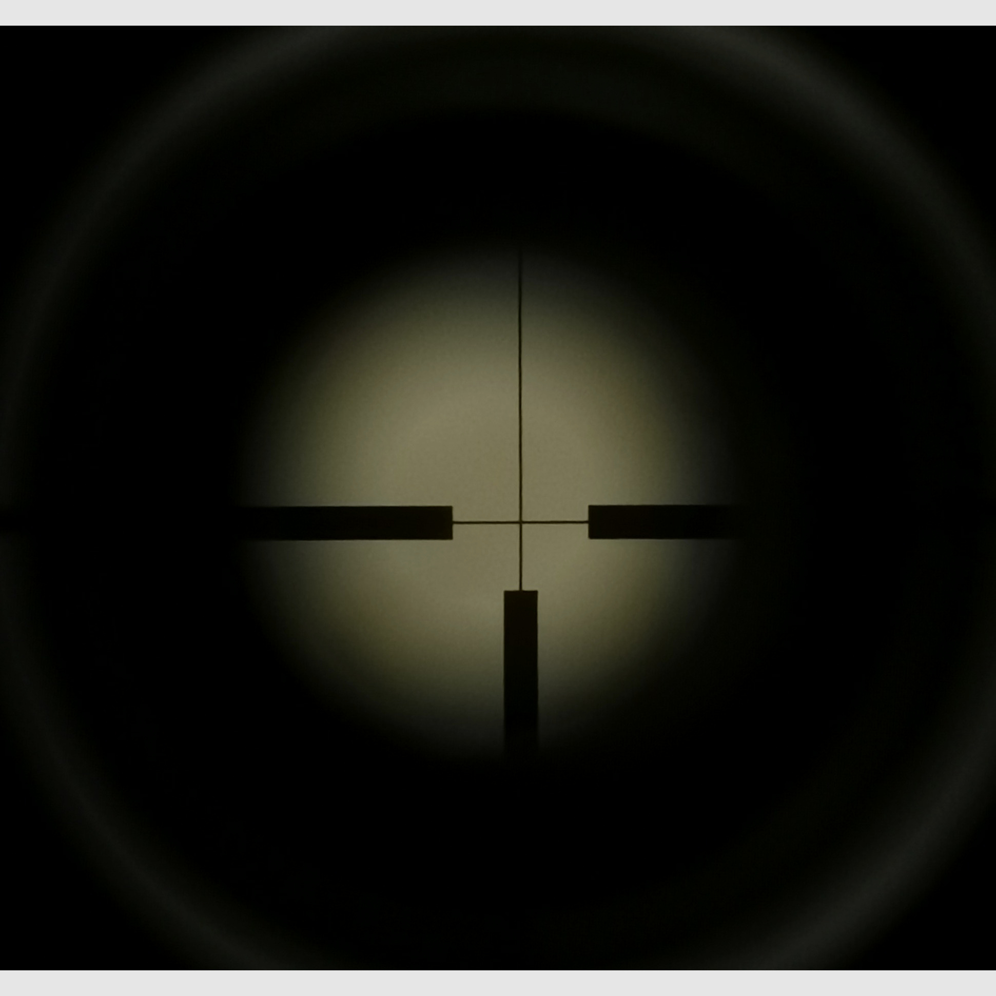 K98 Mauser Kaliber: .308Win mit ZF Svarovski Habicht 6x42 