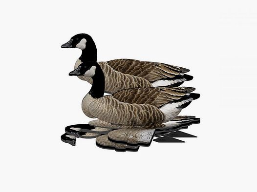 National Rifle Association FUD Lockvogel Kanadagans 6er Pack