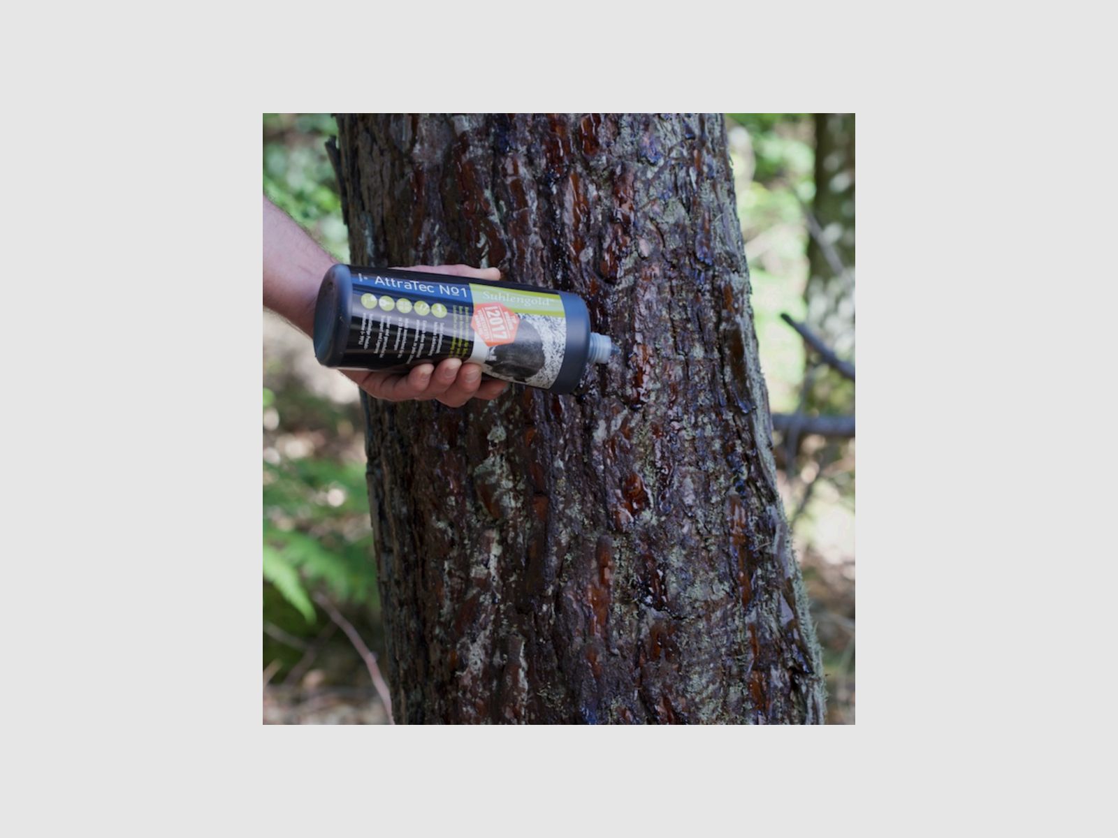 AttraTec No 1 Suhlengold®, v. 17, 1 kg