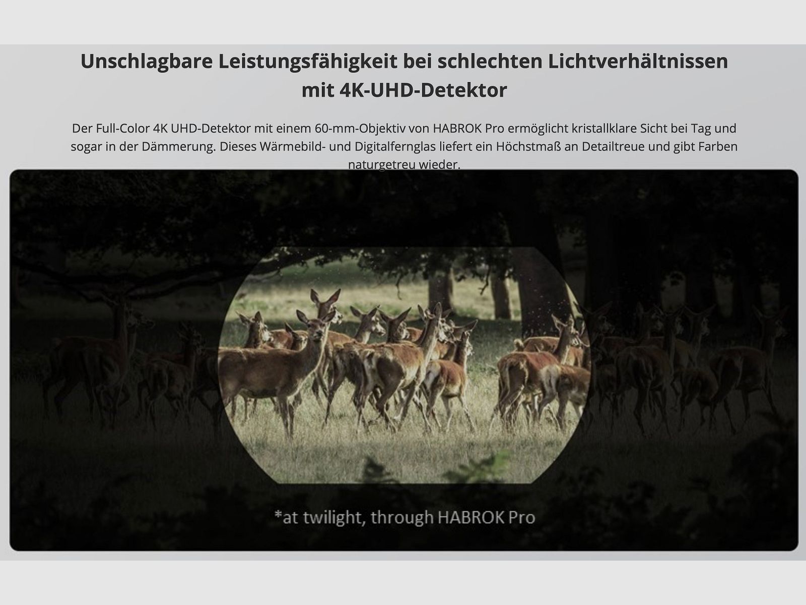 Hikmicro Binocular Habrok Pro HQ50L Wärmebild/Nachtsicht/Digitalkamera 850Nm 3840 × 2160