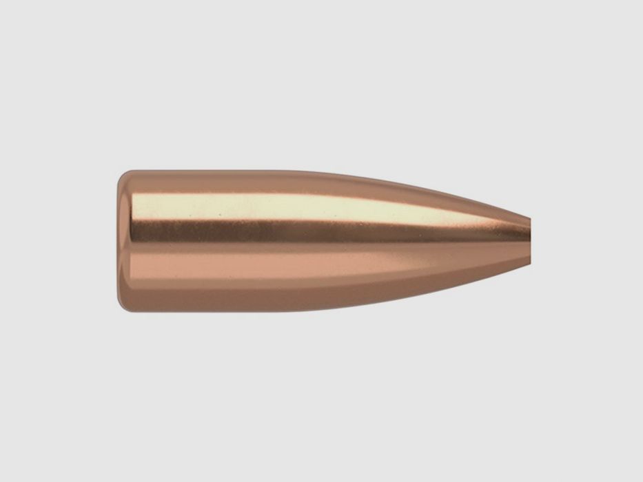 NOSLER 17 KALIBER (0,172″) 20GR HOLLOW POINT FLAT BASE 100/BOX, Bild 1 von 2