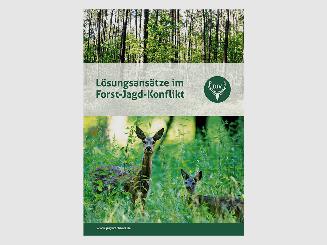 Brochure "Solutions in the Forestry-Hunting Conflict"