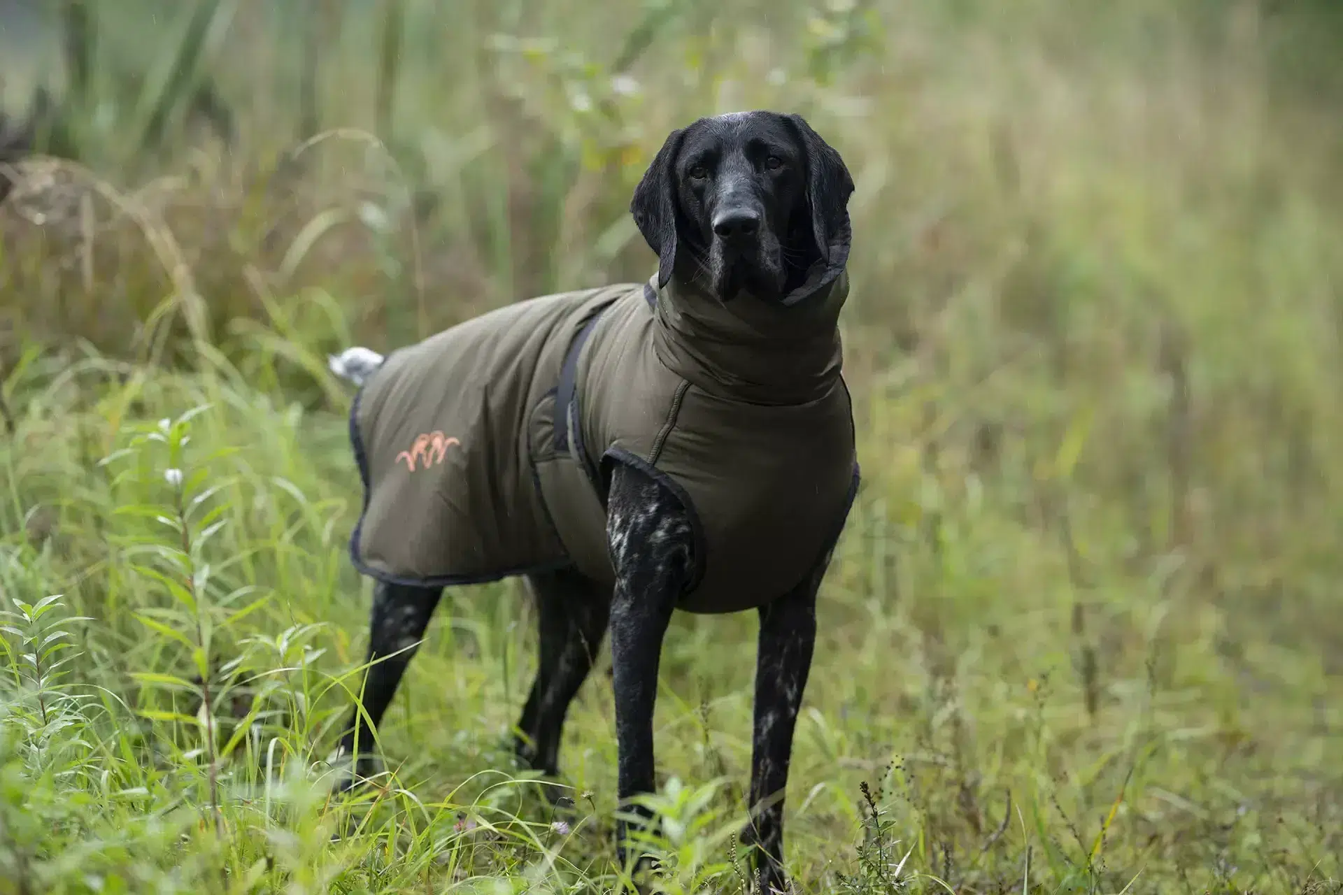 Blaser Hundeponcho dunkel oliv, Bild 9 von 9
