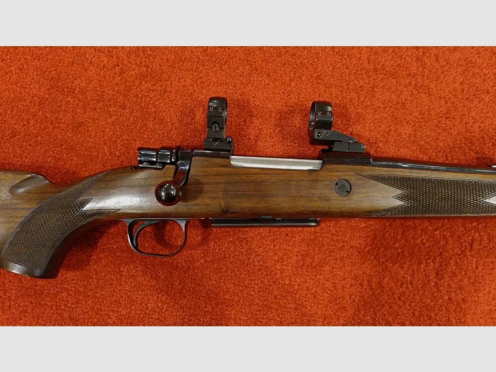 Santa Barbara Mod.1000 .243Win