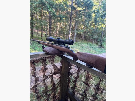 Steyr SM12 Goiserer Z8i 8x57IS