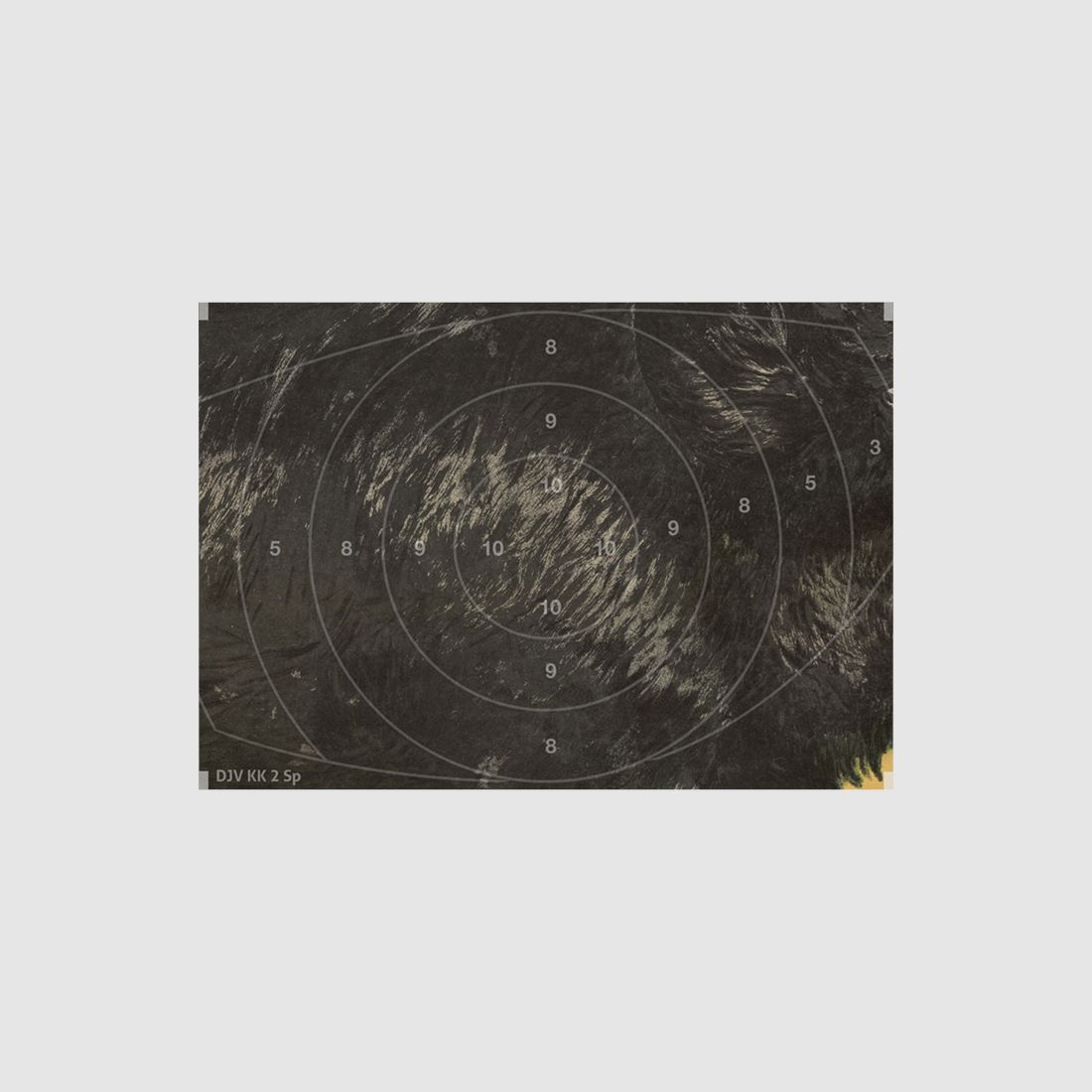 Specchio per bersaglio selvatico di piccolo calibro DJV n. 2 (sovrapposizione)