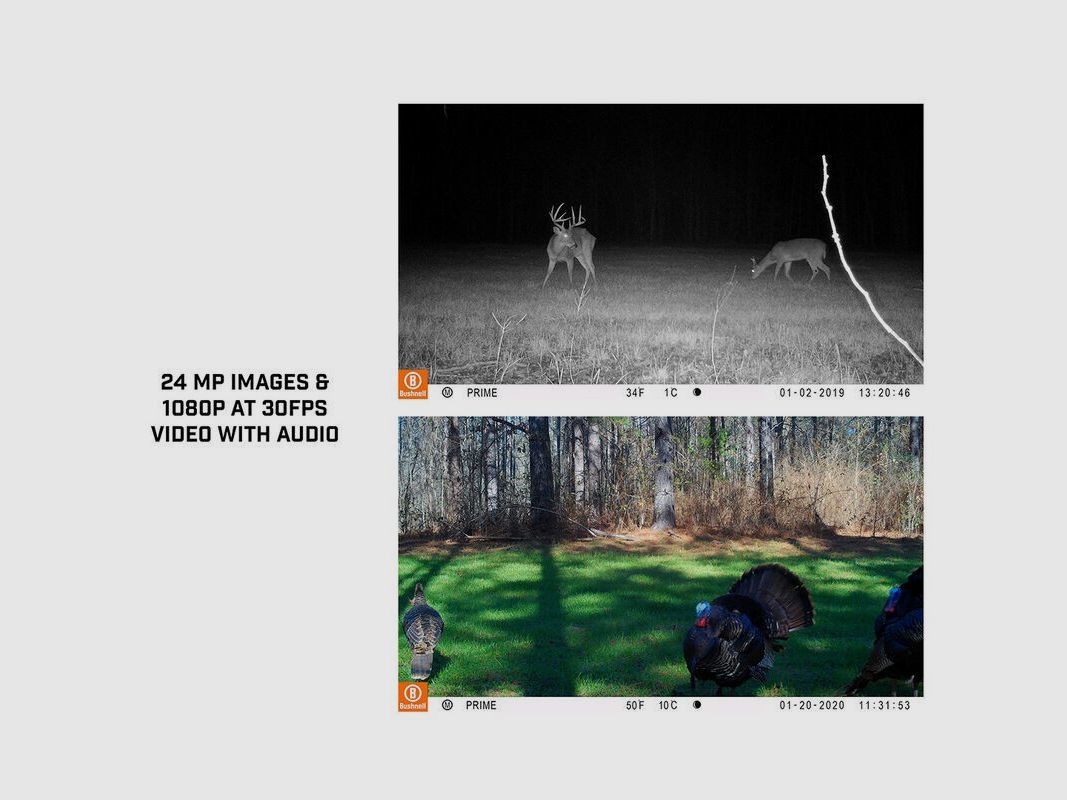 BUSHNELL Prime COMBO 24MP Low-Glow Kamera, Bild 3 von 3