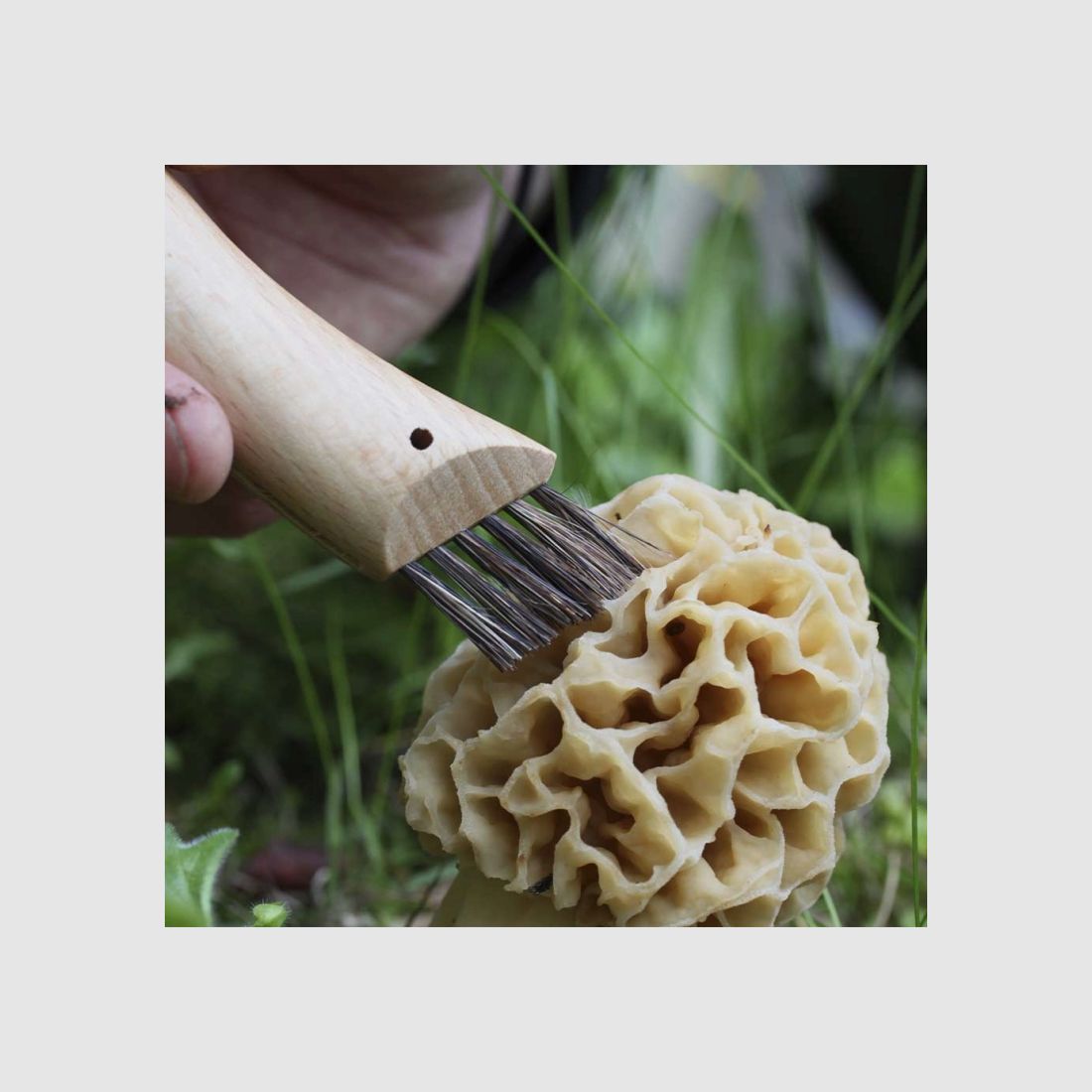 COUTEAU PLIANT OPINEL N°8 CHAMPIGNON, image 4 sur 5