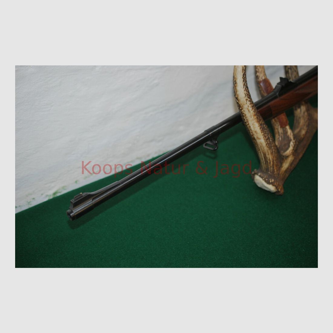 Klaus Koops 98 DWM Sistema