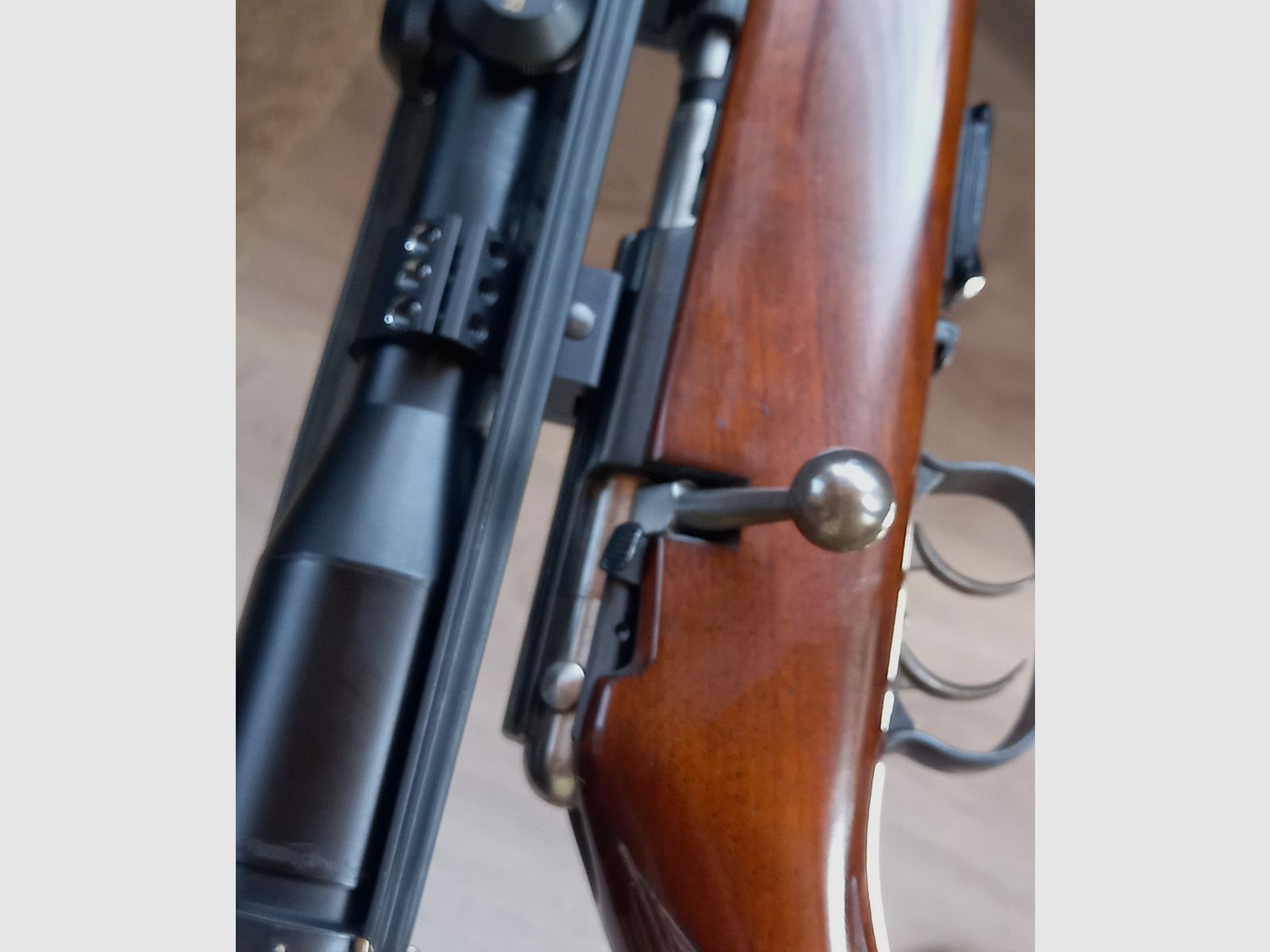 Anschütz 1516 in .22 WMR